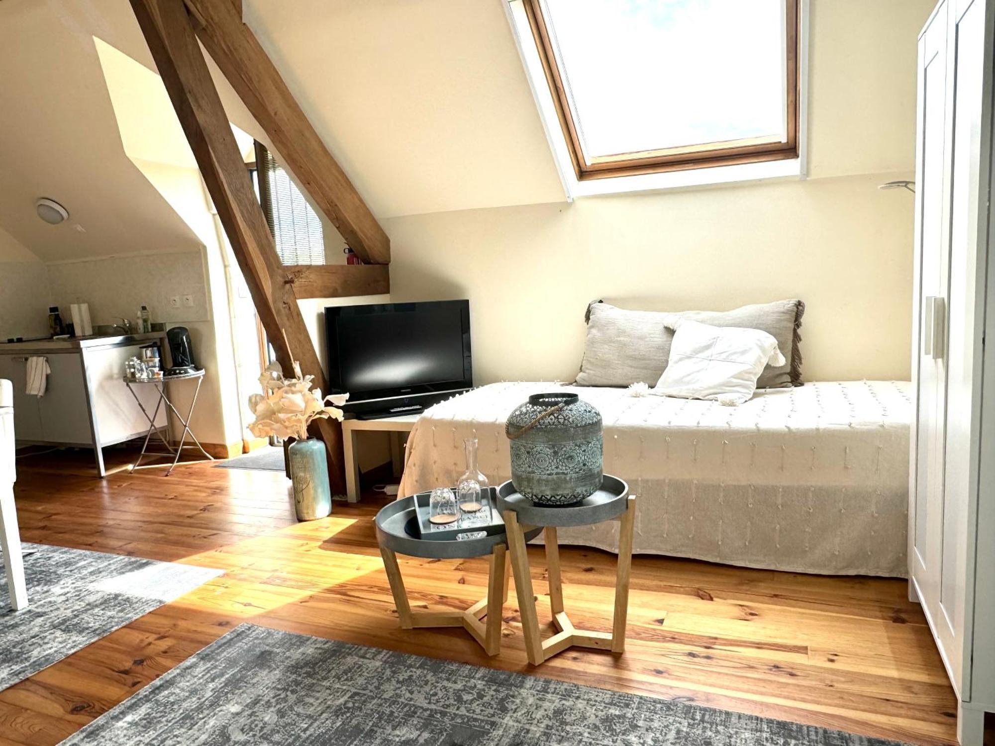Le Moulin D Olivet Bed & Breakfast Orbigny Ngoại thất bức ảnh