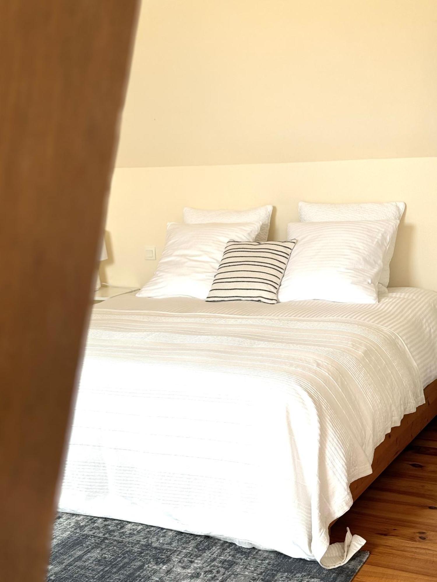 Le Moulin D Olivet Bed & Breakfast Orbigny Ngoại thất bức ảnh