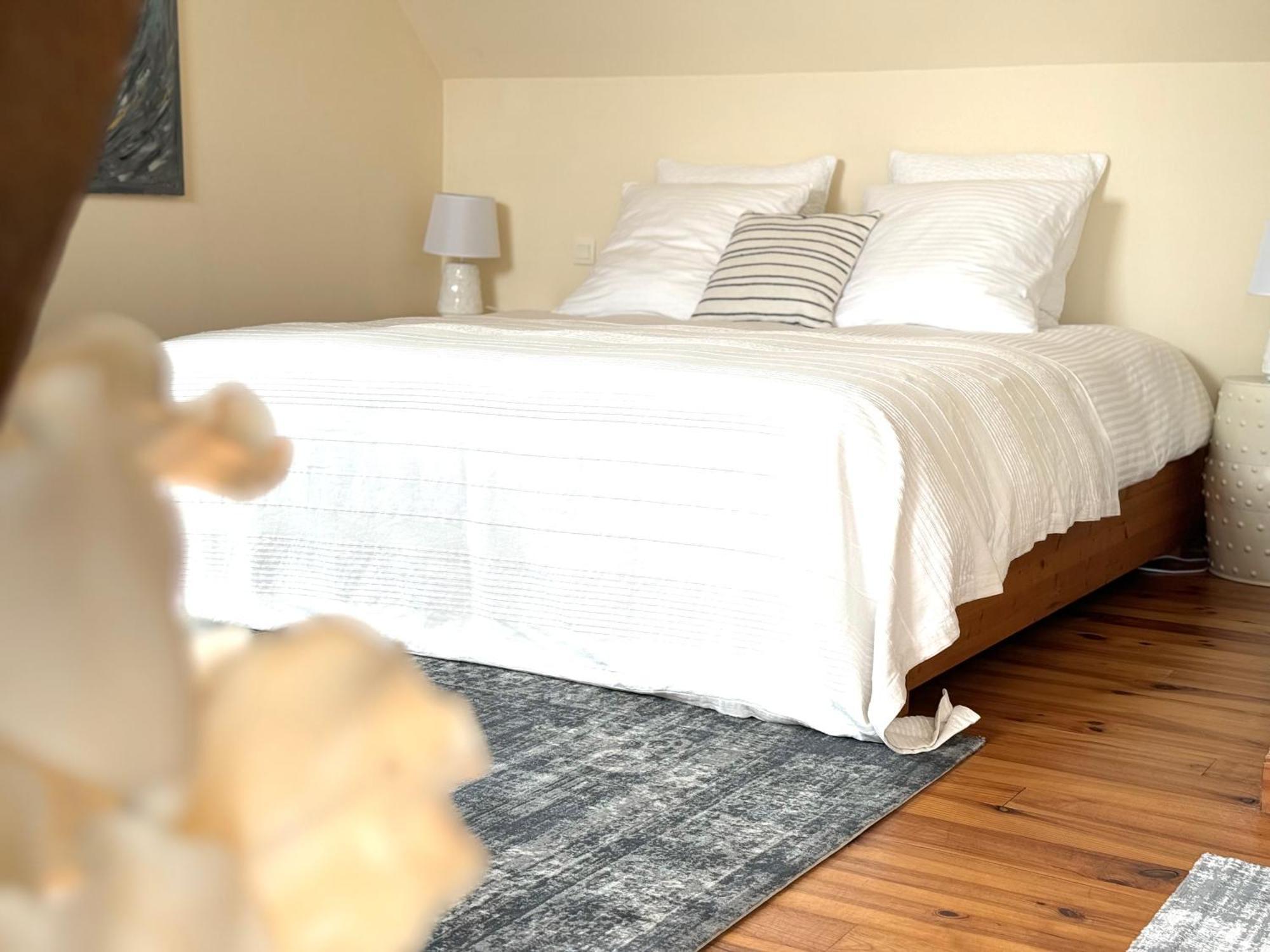 Le Moulin D Olivet Bed & Breakfast Orbigny Ngoại thất bức ảnh