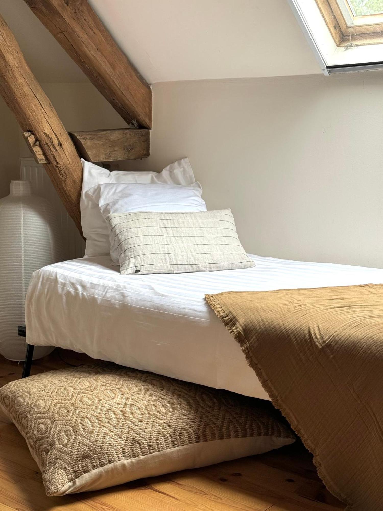 Le Moulin D Olivet Bed & Breakfast Orbigny Ngoại thất bức ảnh