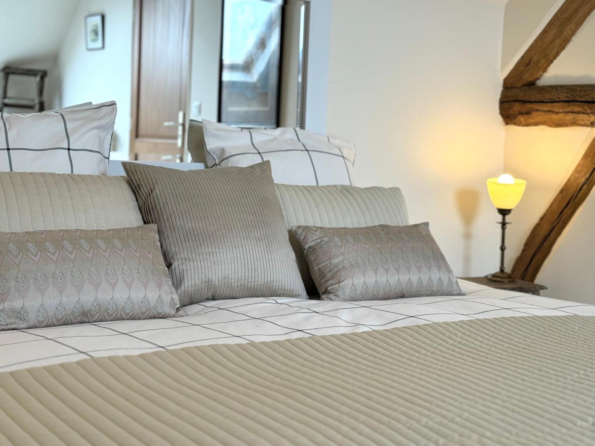 Le Moulin D Olivet Bed & Breakfast Orbigny Ngoại thất bức ảnh
