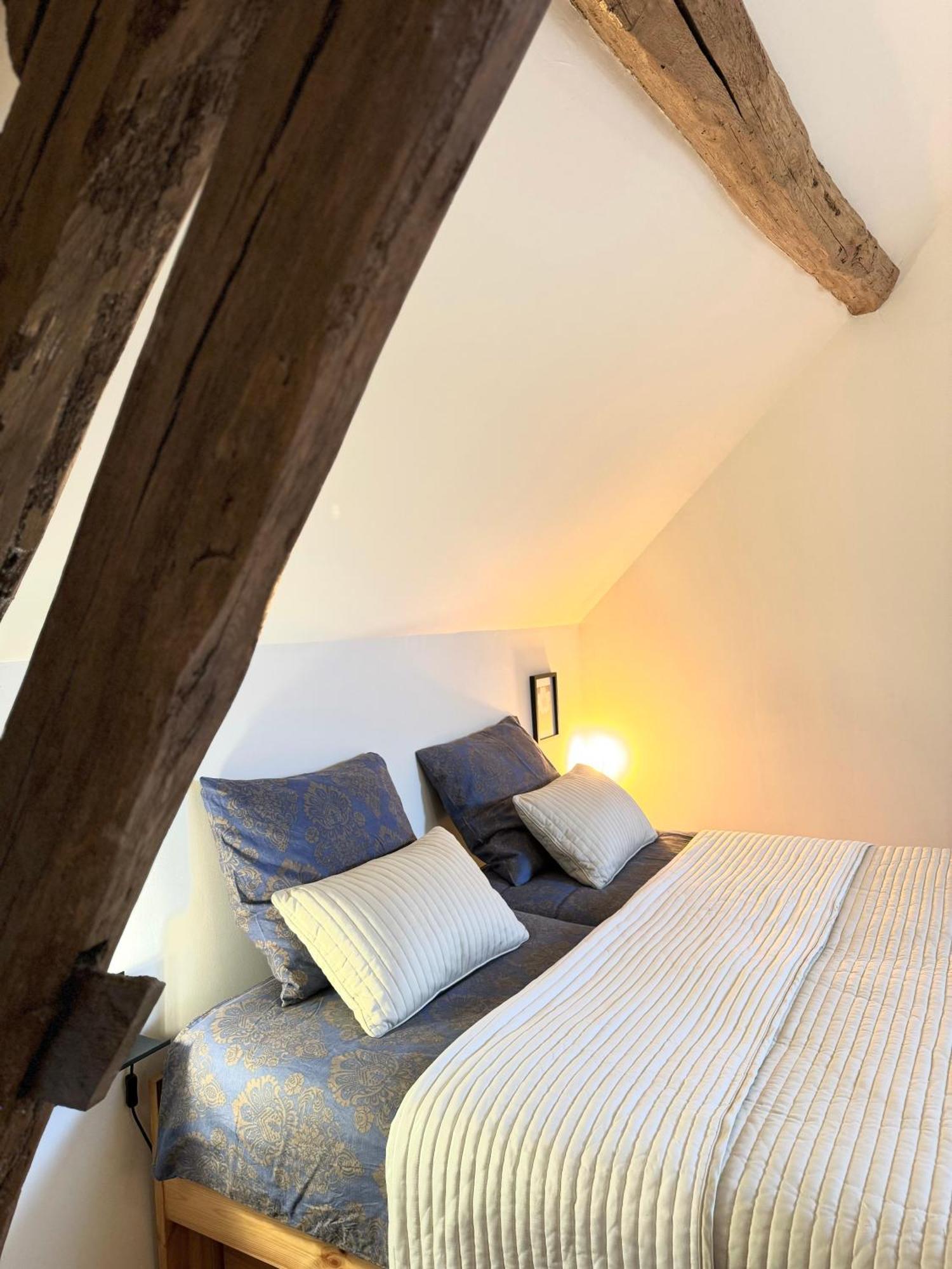 Le Moulin D Olivet Bed & Breakfast Orbigny Ngoại thất bức ảnh