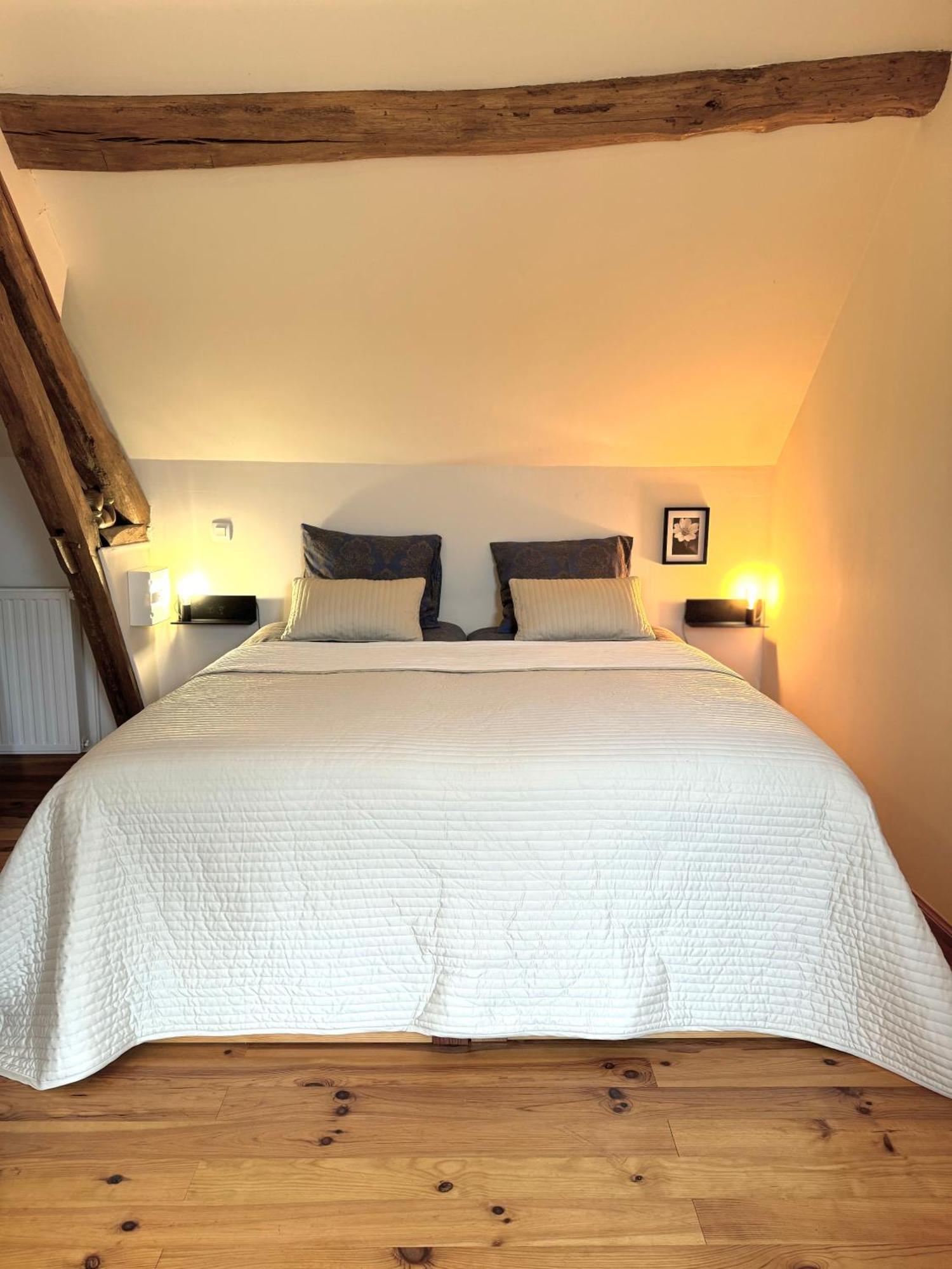 Le Moulin D Olivet Bed & Breakfast Orbigny Ngoại thất bức ảnh