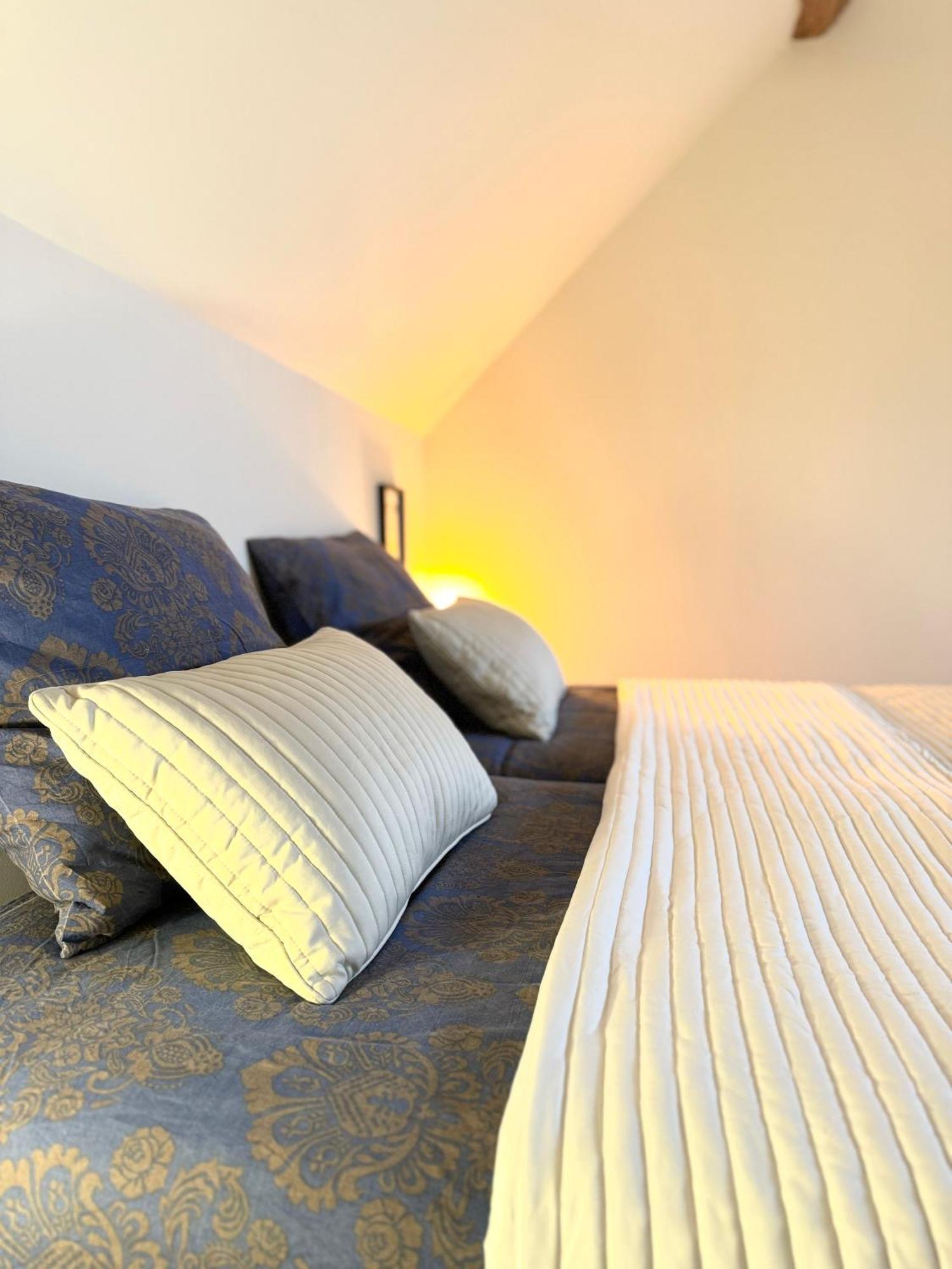 Le Moulin D Olivet Bed & Breakfast Orbigny Ngoại thất bức ảnh